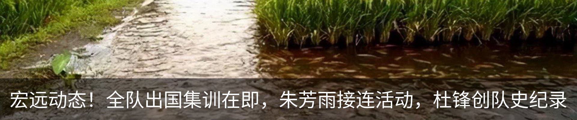 行业资讯