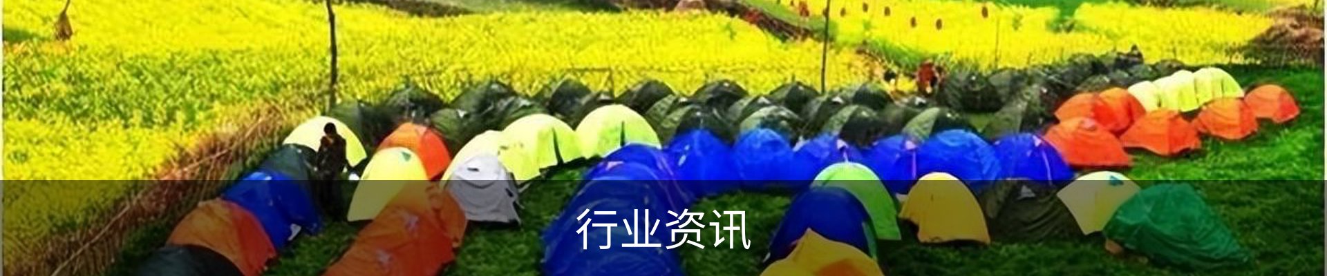 行业资讯